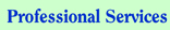 Professional Services